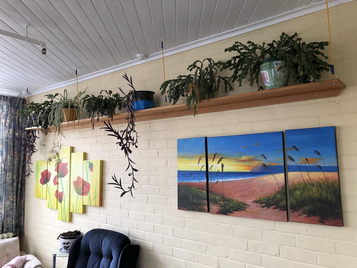 Chalet Backpackers Dunedin Buitenkant foto